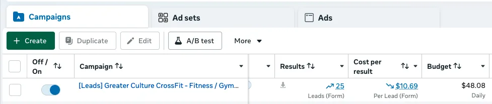 Client ads manager showing 25 leads at $10.69 per lead
